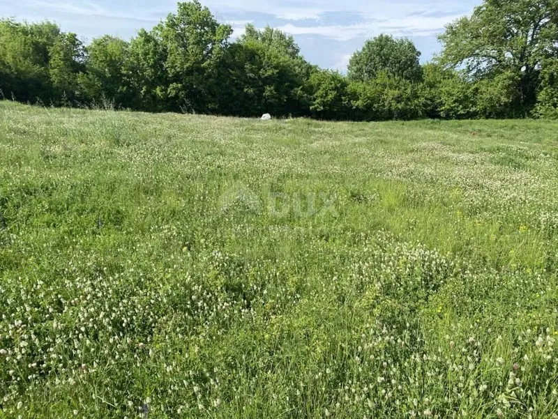Land Šajini, Barban, 2.216m2 – 2