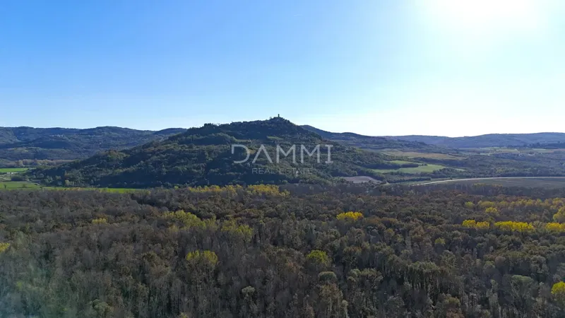 OPRTALJ, LIVADE - BUILDING LAND FOR TOURIST PURPOSES - CAMP – 2