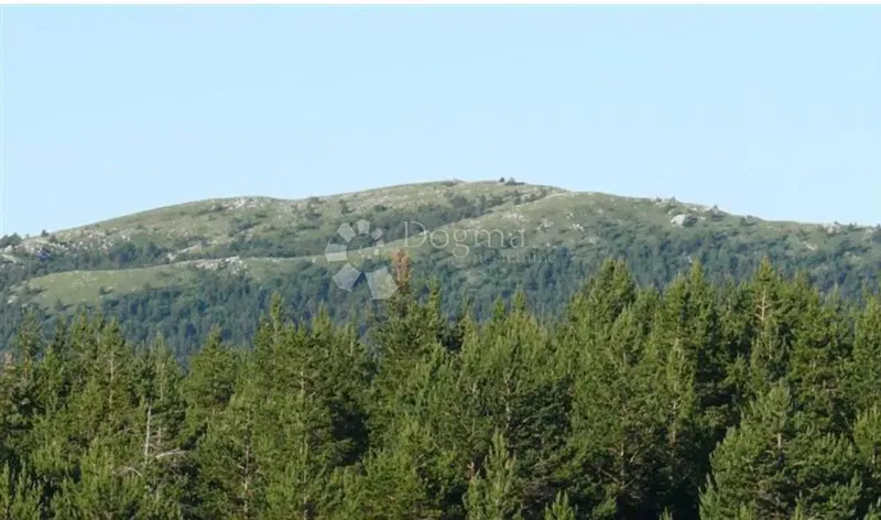 Działka Brod Moravice, 22.349m2