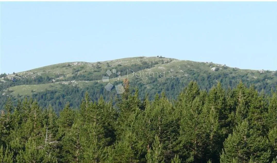 Terreno Brod Moravice, 22.349m2