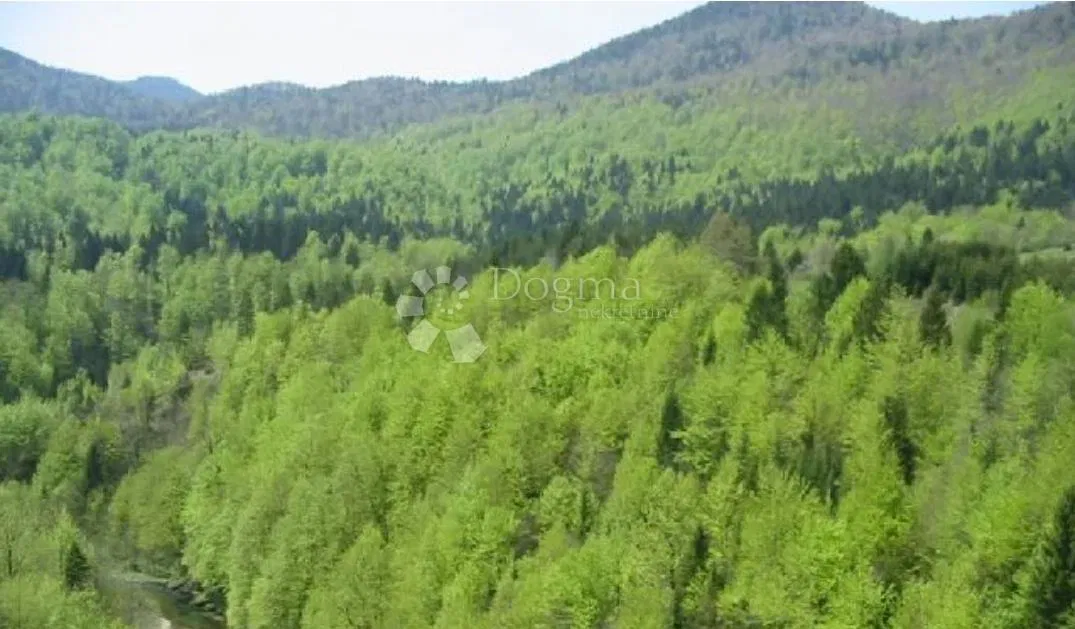 Działka Brod Moravice, 10.718m2