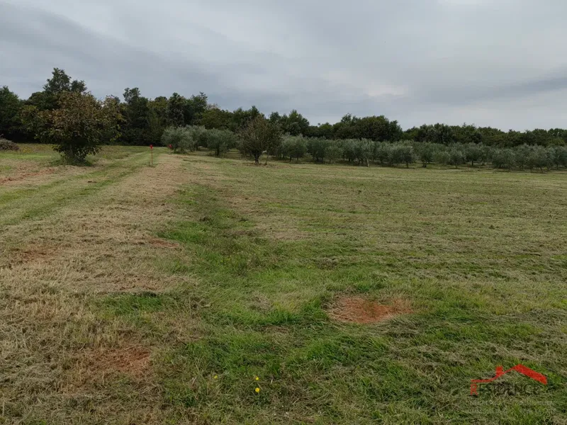 Terreno Šišan – 2