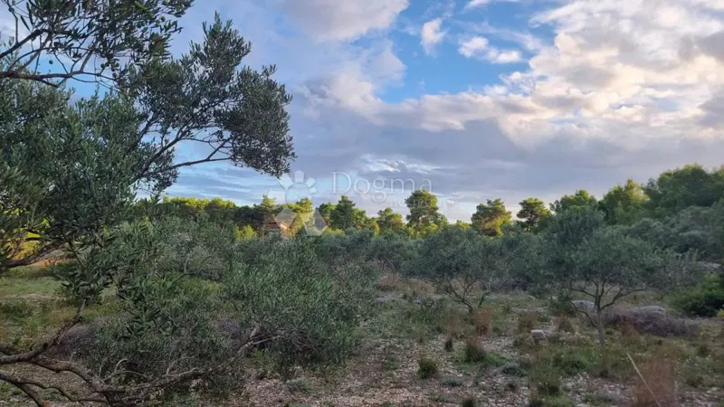 Land Milna, 13.472m2 – 2