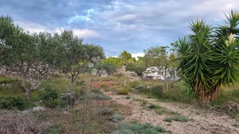 Land Milna, 13.472m2 – 3