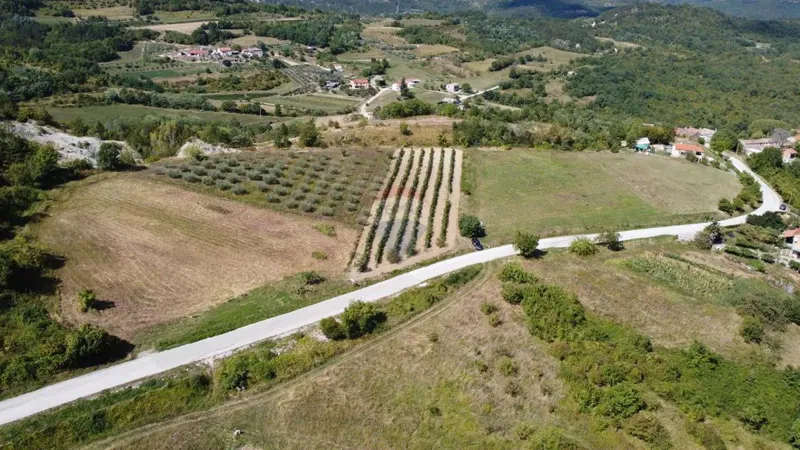 Building plot Grdoselo, Pazin - Okolica, 774m2 – 3