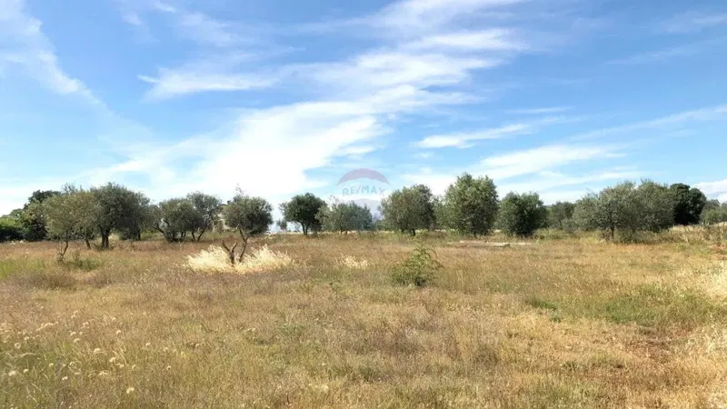 Building plot Umag, 2.102m2 – 2
