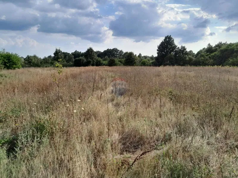 Terreno non edificabile Savičenta, Vodnjan, 10.685m2 – 2