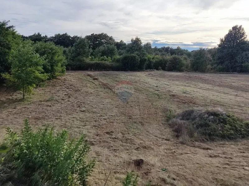 Terreno non edificabile Savičenta, Vodnjan, 10.685m2 – 3