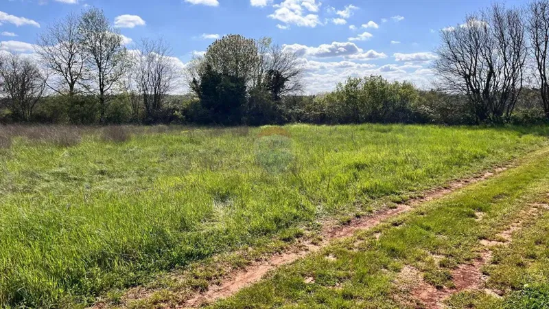Non-structural plot Nova Vas, Brtonigla, 13.364m2 – 2