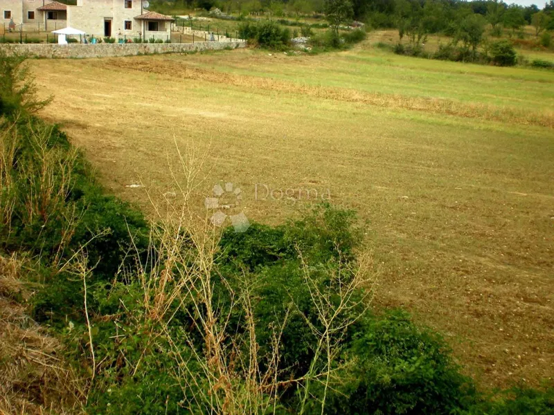 Föld Kanfanar, 1.991m2 – 3