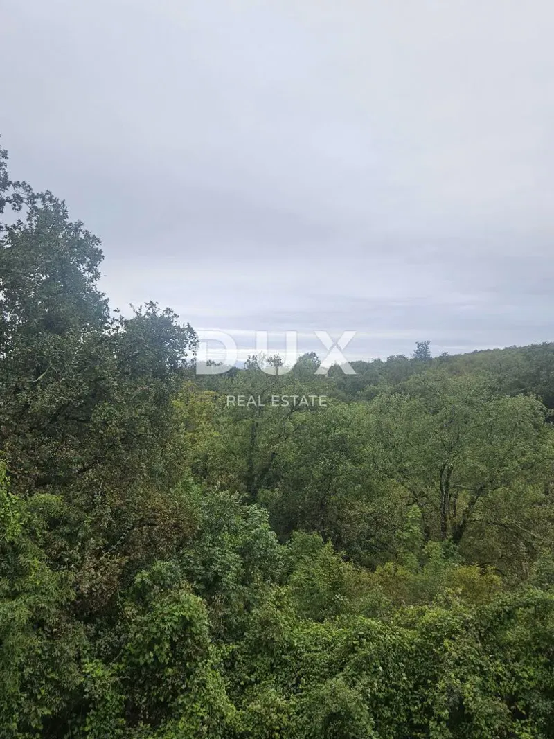 RIJEKA, DRENOVA - construction land 6500m2 for the construction of residential buildings - apartments – 3