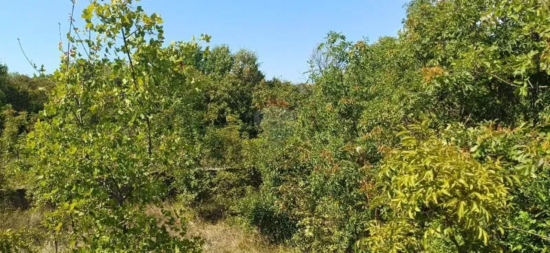 Telek Loborika – 3
