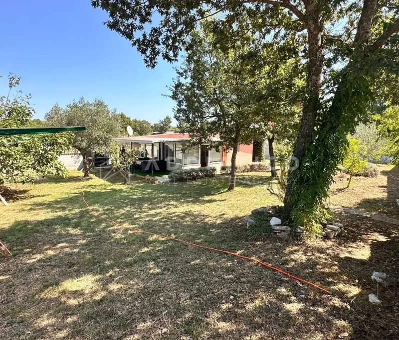 Rovigno, casa su un piano con piscina, giardino e uliveto – 2