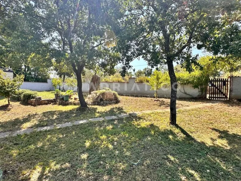 Rovigno, casa su un piano con piscina, giardino e uliveto – 3