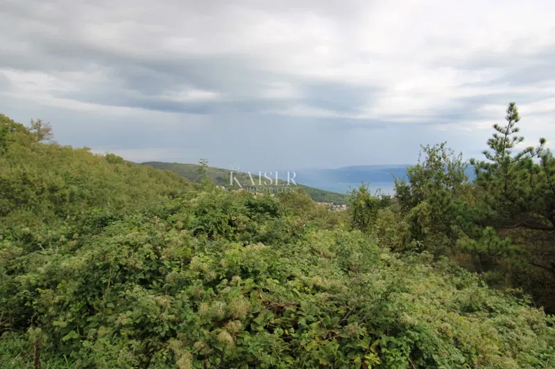 Rabac - houses 235 m2 on a property of 9,560 m2 – 3