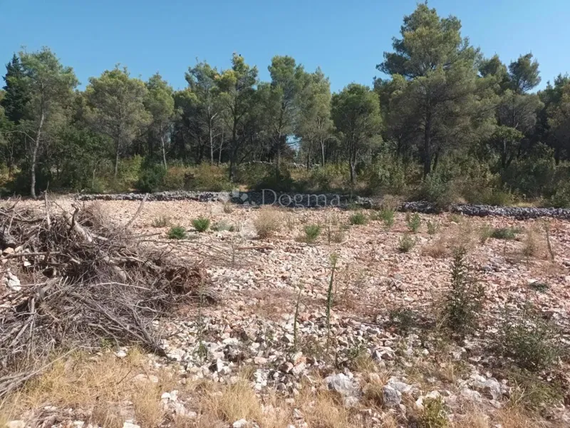 Terreno Dubrava Kod Šibenika, Šibenik - Okolica, 1.000m2 – 2