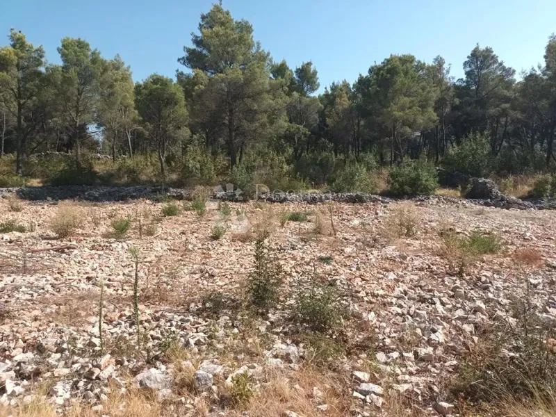 Terreno Dubrava Kod Šibenika, Šibenik - Okolica, 1.000m2 – 3