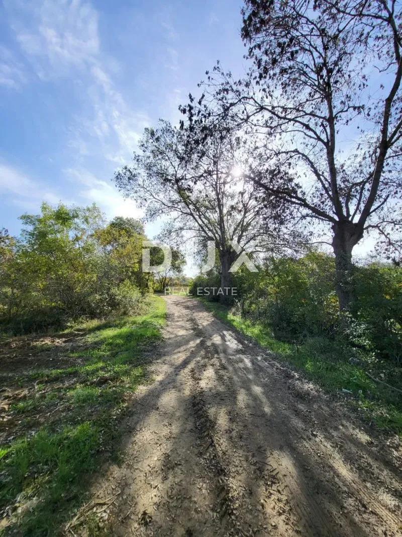 POLIČNIK, ZADAR - Agricultural land with a source of drinking water – 3