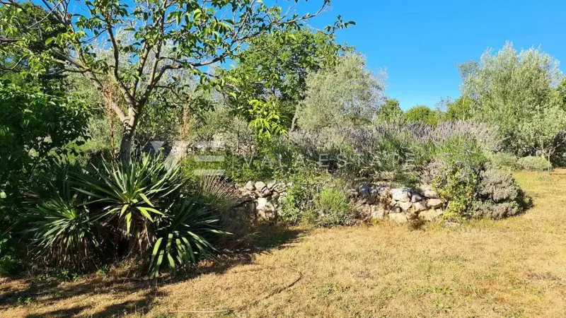 UNICA CASA IN PIETRA RISTRUTTURATA IMMERSA NELLA NATURA – 2