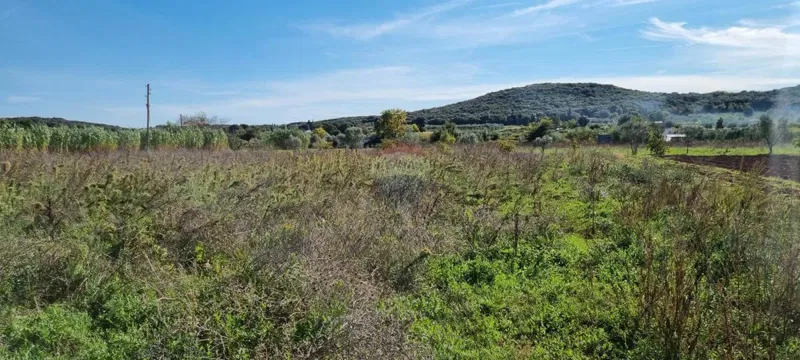 Non-structural plot Rovinj, 5.000m2 – 3