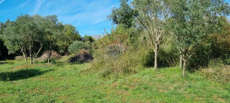 Non-structural plot Rovinj, 1.574m2 – 2