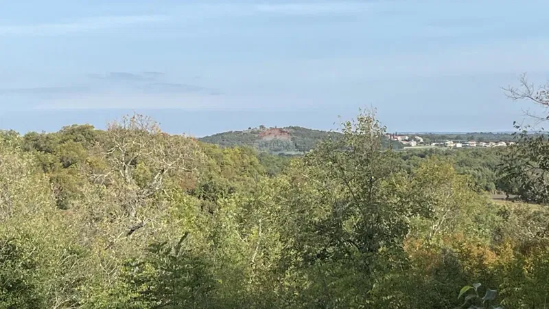 Vrsar - okolica, građevinsko zemljište s otvorenim pogledom