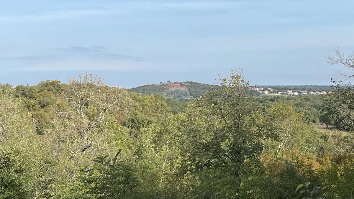 Vrsar - okolica, građevinsko zemljište s otvorenim pogledom