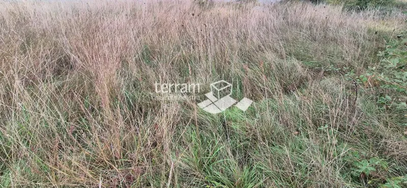Istria, Žminj, several building plots of 533m2 #sale – 2
