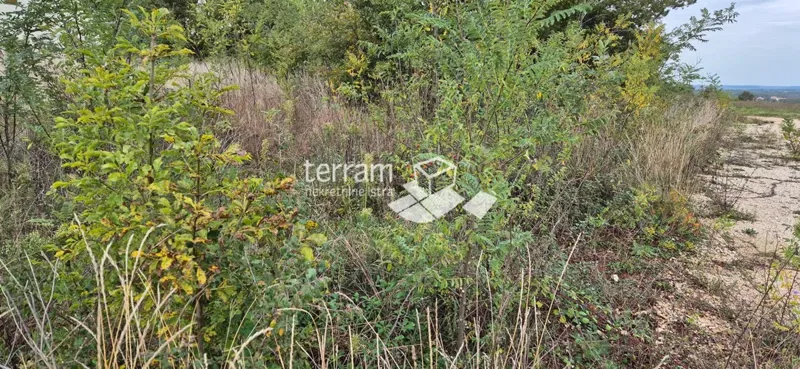 Istria, Žminj, several building plots of 533m2 #sale – 3
