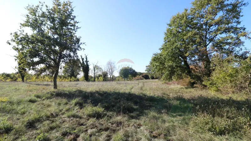Telek Višnjan – 2