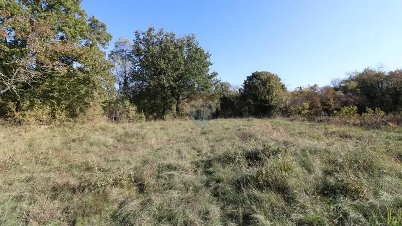 Telek Višnjan – 3