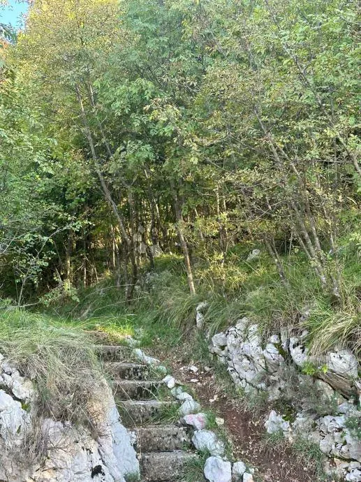 Земля Svilno, Rijeka, 1.490m2 – 2