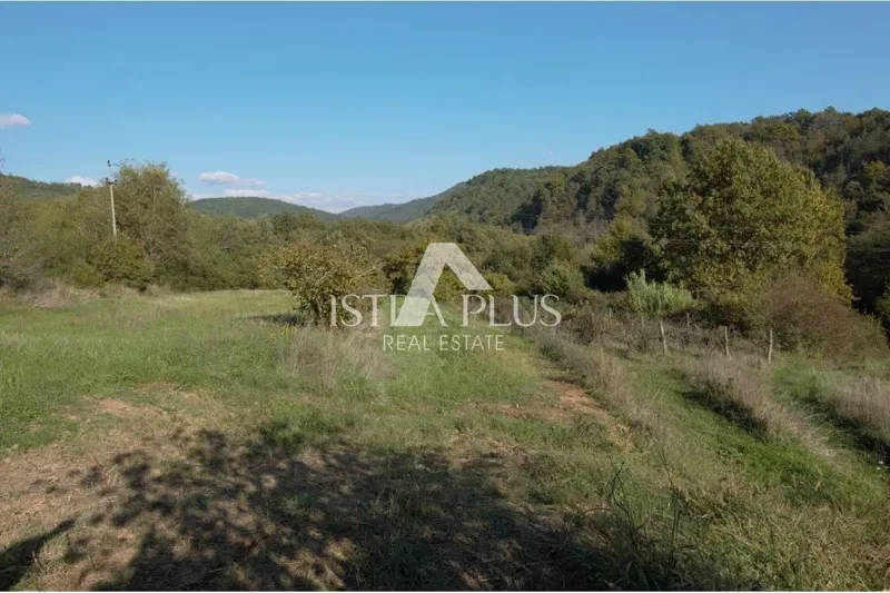 DINTORNI MOTOVUN - TERRENO EDIFICABILE CON PROGETTO CONCETTUALE IN VENDITA – 2