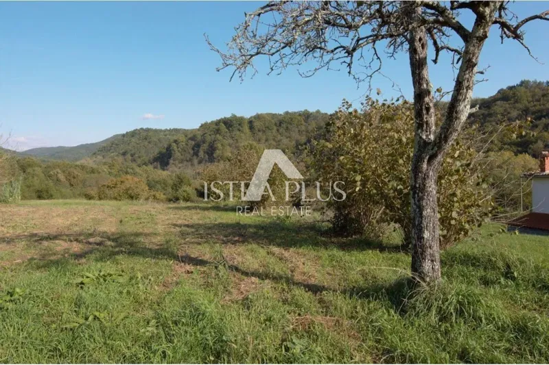 DINTORNI MOTOVUN - TERRENO EDIFICABILE CON PROGETTO CONCETTUALE IN VENDITA – 3