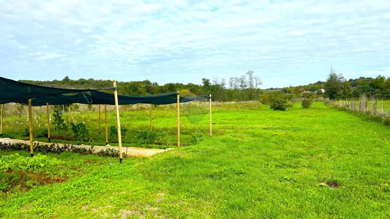 Terreno non edificabile Materada, Umag, 2.930m2 – 3
