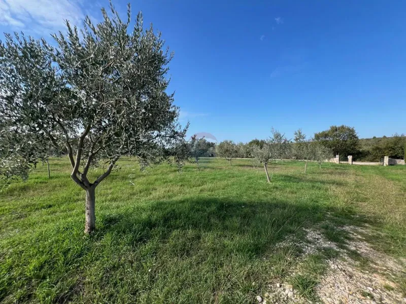 Terreno non edificabile Vodnjan, 13.842m2 – 3