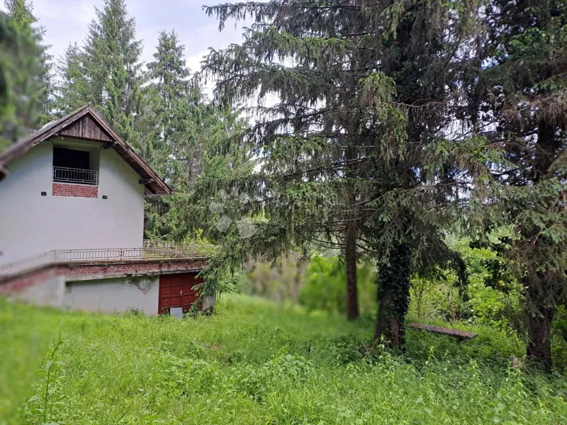 Cottage without neighbors, well, 60m2 – 2