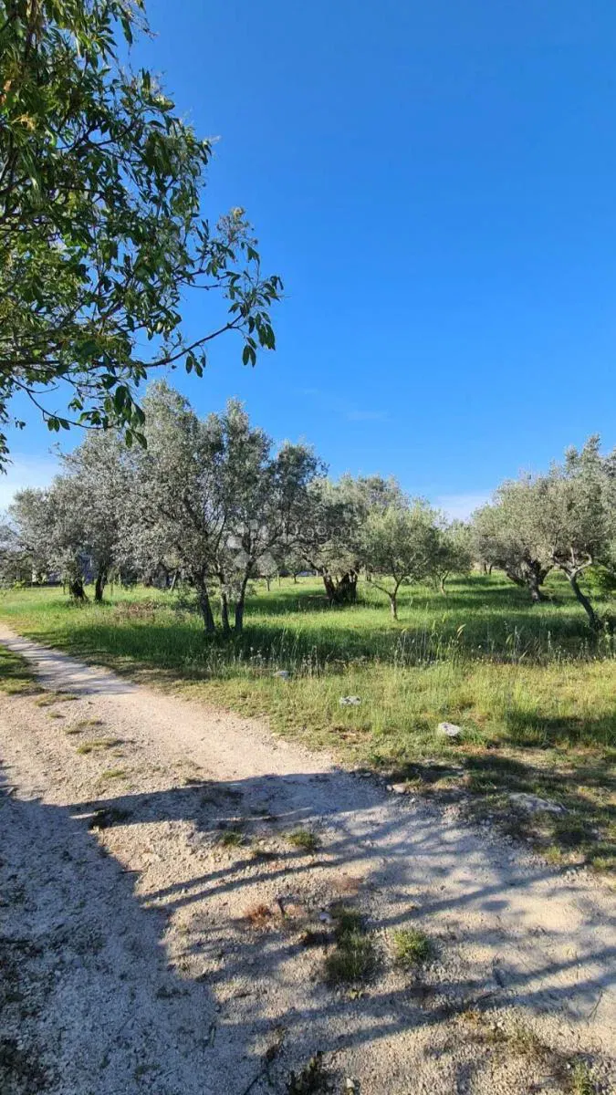 Terreno Valbandon, Fažana, 1.500m2 – 2