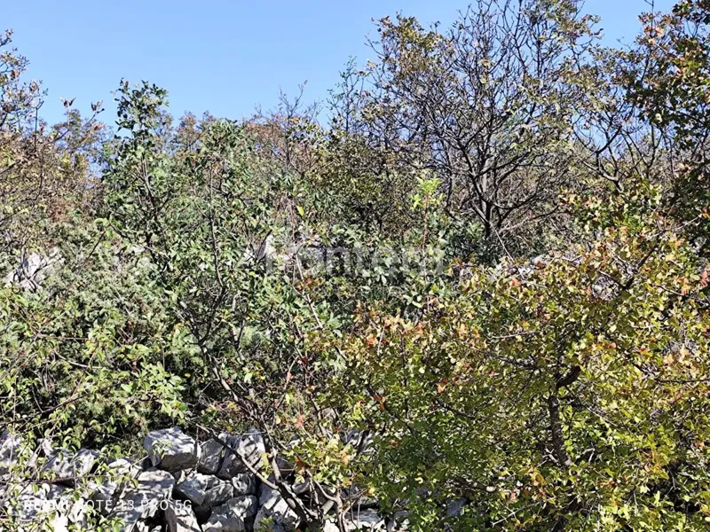 Земля Šmrika, Kraljevica, 1.453m2 – 3