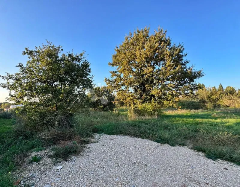 Land Šišan, Ližnjan, 673m2 – 2