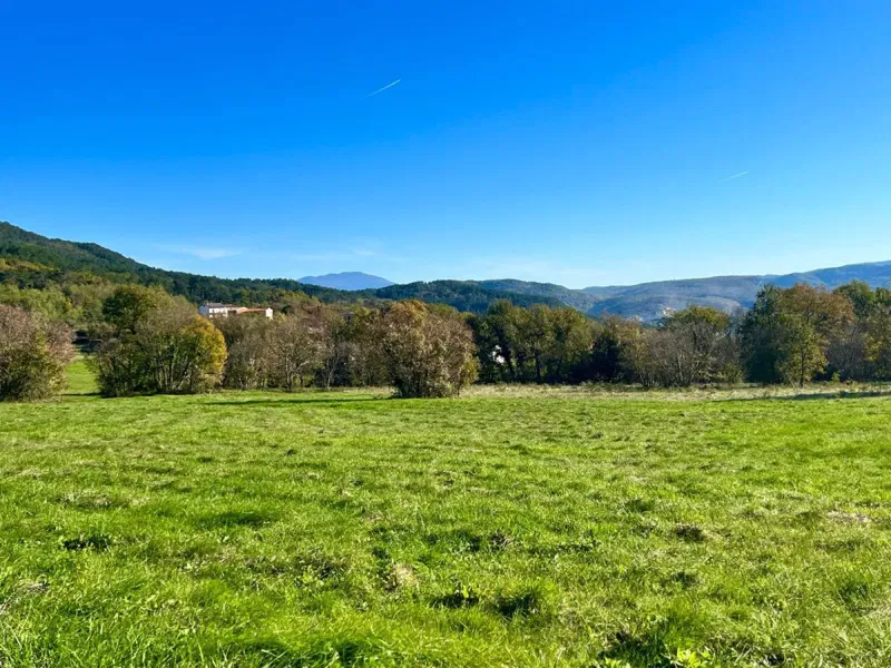 Ottimo terreno a Buzet, 5.384 m² lungo la strada, Istria, Croazia – 3