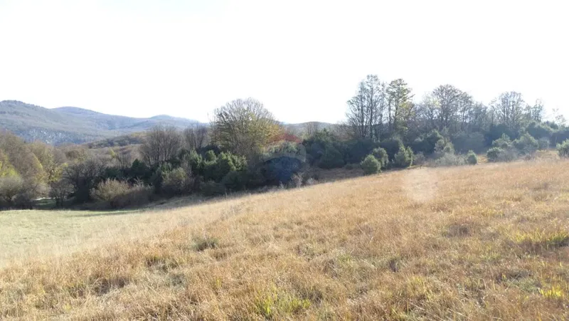 Terreno non edificabile Klana, 14.790m2 – 3