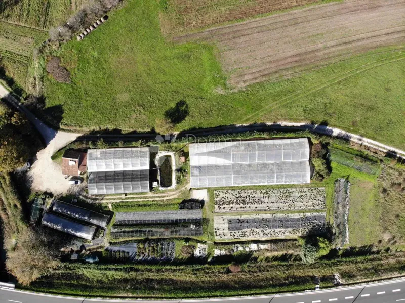 Działka Lindar, Pazin - Okolica, 9.630m2 – 2