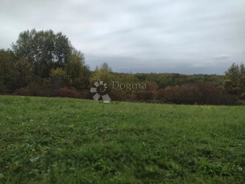 Land Dugo Selo Lasinjsko, Gvozd, 37.631m2 – 2