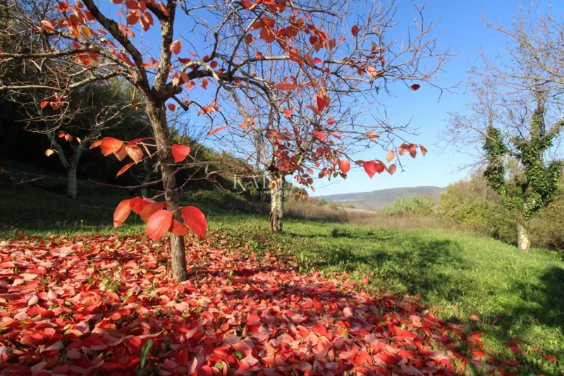 Istria - Motovun, building land, view of Motovun – 2