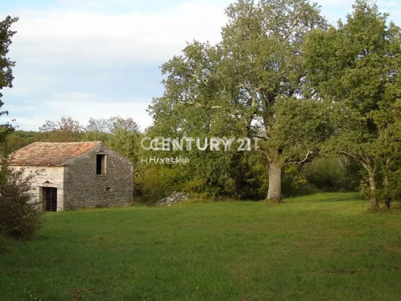 Vendita, Terreno, Superficie agricola, Provincia di Istria, Rovinj – 3
