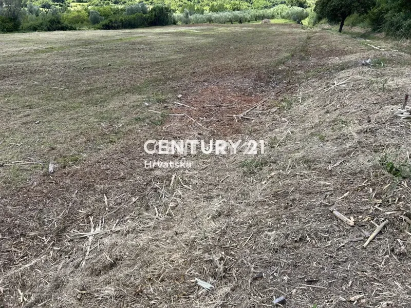 BUJE, ATTRACTIVE BUILDING LAND WITH PANORAMIC SEA VIEW – 3