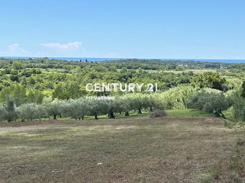 BUJE, SURROUNDINGS, ATTRACTIVE BUILDING LAND WITH SEA VIEW – 2