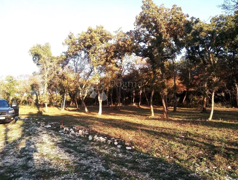 Land Vodnjan, 1.005m2 – 3