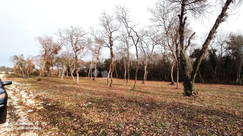 Land Vodnjan, 1.005m2 – 2
